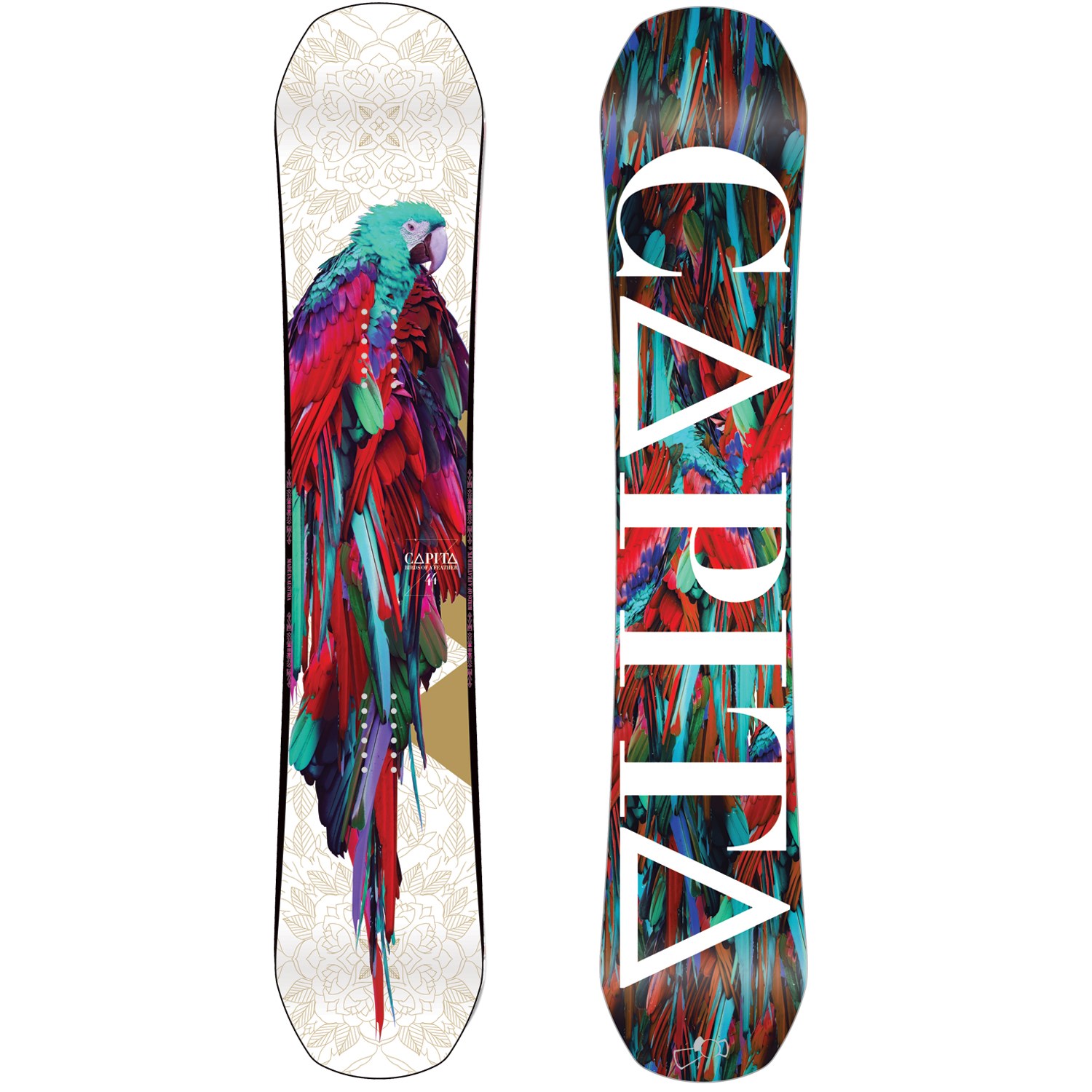 Capita Birds Of A Feather 2014/2015. The Best Women’s Snowboard Designs